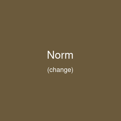 Norm