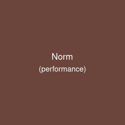 Norm