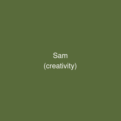 Sam Rivera